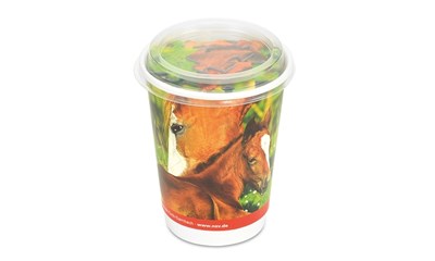 Cup - Pferde / Lilly das Fohlen