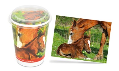 Cup - Pferde / Lilly das Fohlen