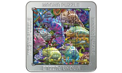 3D Magna Chameleon