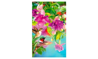 Kolibris
