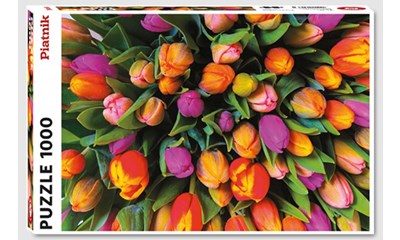 Tulpen