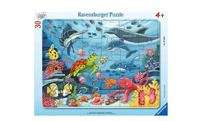 Unten im Meer