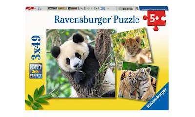 Panda, Tiger und Löwe