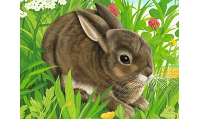 Tiere