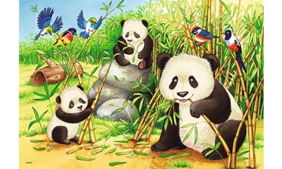 Süsse Koalas und Pandas