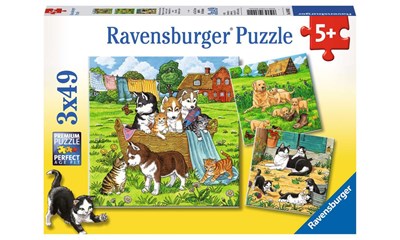Süsse Katzen und Hunde