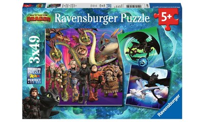 Dragons, Drachenzähmen leicht gemacht