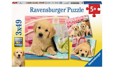 Kuschelige Hündchen