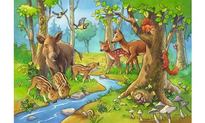 Tiere des Waldes
