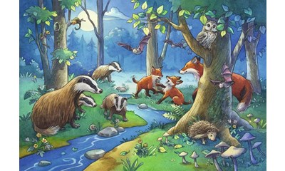 Tiere des Waldes