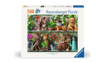 Katzen im Regal