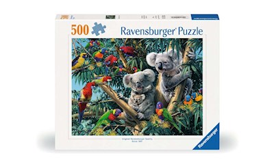 Koalas im Baum