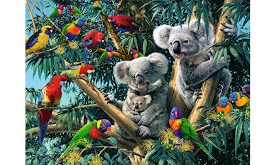 Koalas im Baum