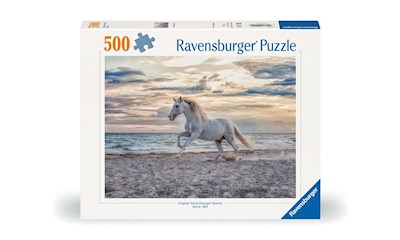 Pferd am Strand