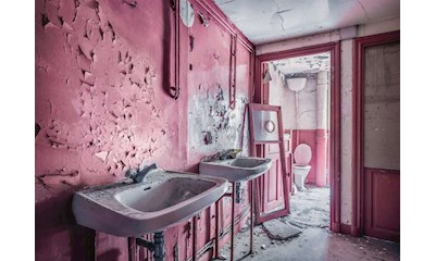 Pink Dreams