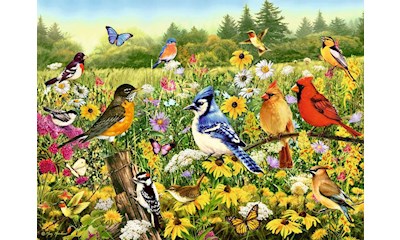 Vogelwiese