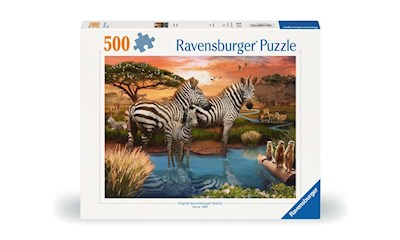 Zebras am Wasserloch