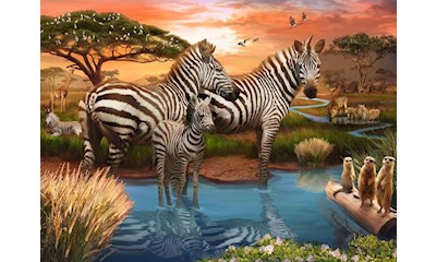 Zebras am Wasserloch