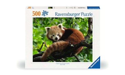 Süsser roter Panda