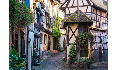 Eguisheim im Elsass