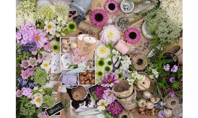 Prachtvolle Blumenliebe