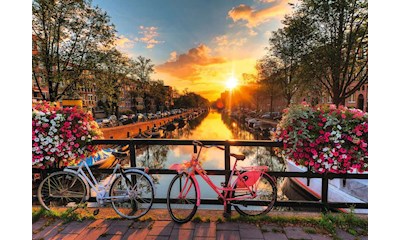 Fahrräder in Amsterdam