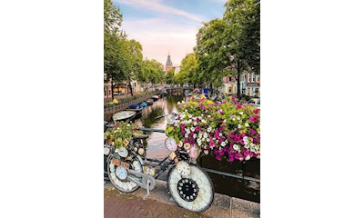 Fahrrad und Blumen in Amsterdam