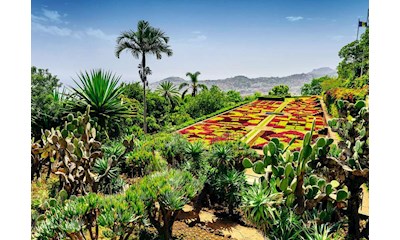 Botanischer Garten, Madeira