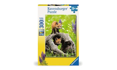 Freche Füchse