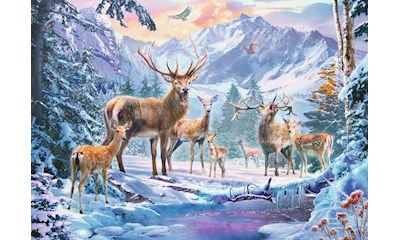Rehe und Hirsche im Winter