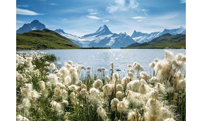 Bachalpsee Grindelwald