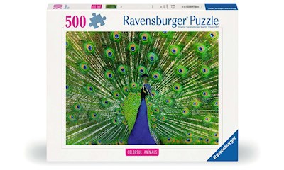 Peacock                   500p