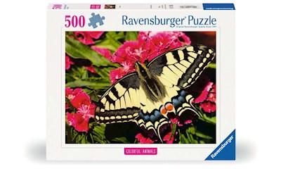 Butterfly                 500p