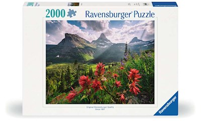 Pristine Mountains       2000p