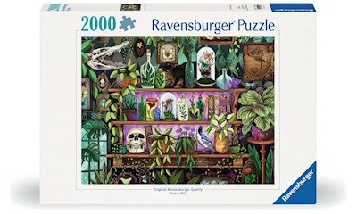 A Witch's Favorite Things     2000p