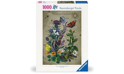 Lifecircle Butterfly  1000p