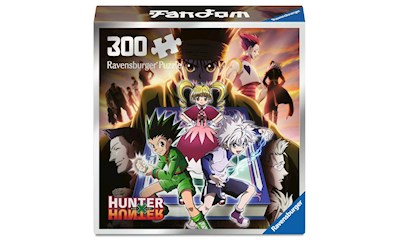 Hunter x Hunter           300p