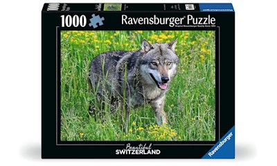 Wolf im Tierpark Goldau      1000T