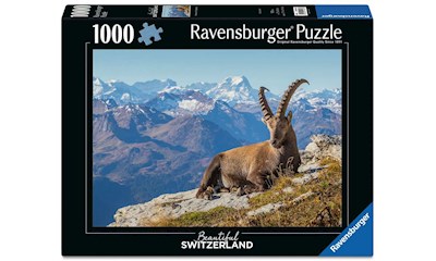 Steinbock im Toggenburg      1000T