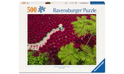 Ein Meer aus Rot         500p