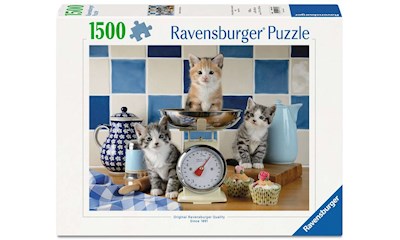 Kätzchen in der Küche       1500p