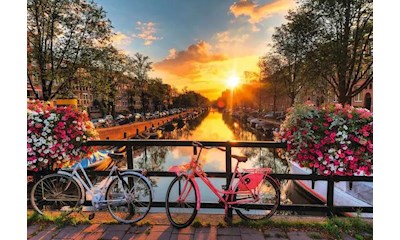 Feel Well - Sunset in Amsterdam