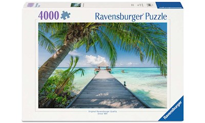 Dream Beach on the Maledives   4000p