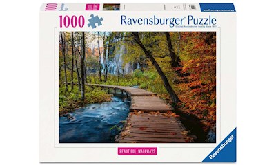 Autumnal wood trail    1000p