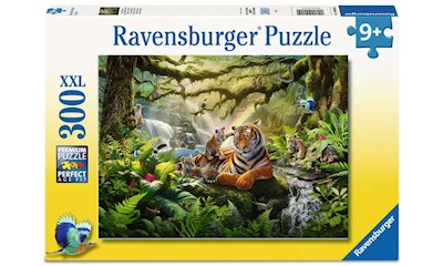 Wildlife Wonders         300p