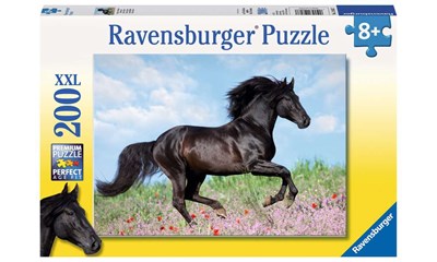 Schwarzer Hengst