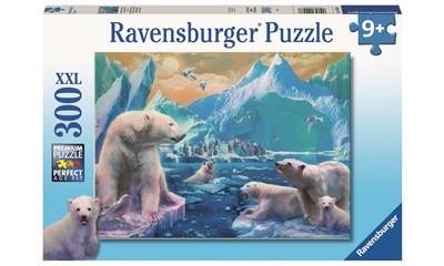Im Reich der Eisbären    