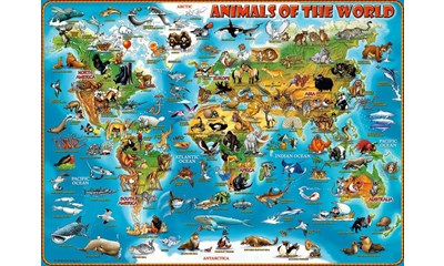 Tiere rund um die Welt