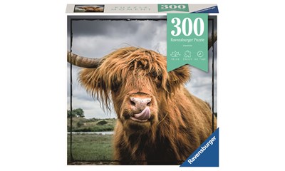 Highland Cattle