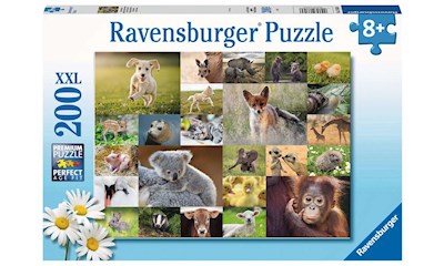 Süsse Tierbabys